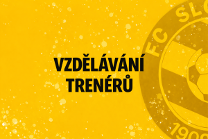 Vzdělávání trenérů